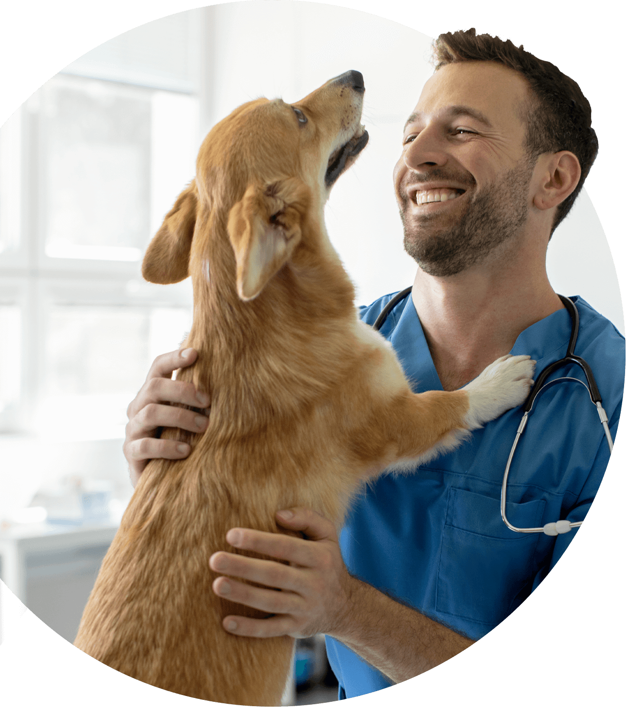 Male Vet With Brown Dog